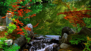 Картинка природа парк осень кусты водопад водоем