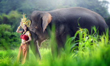 Картинка девушки -unsort+ азиатки девушка слон азиатка