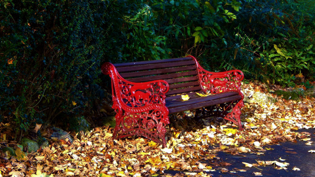 Обои картинки фото природа, парк, скамейка, листопад, кусты, осень, листья