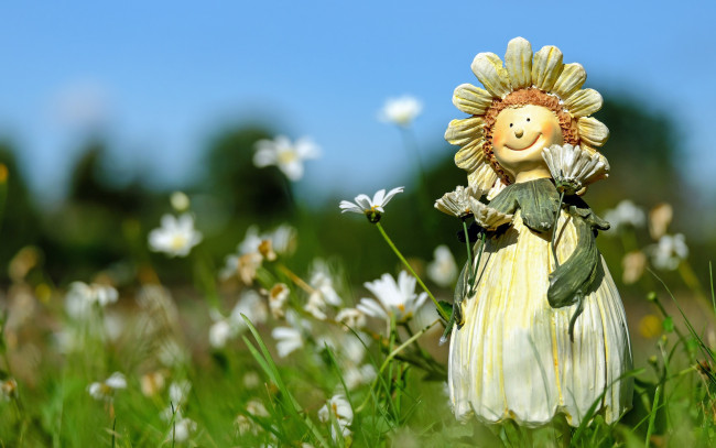 Обои картинки фото разное, игрушки, цветы, ромашки, кукла, фигурка, поле, лето, трава