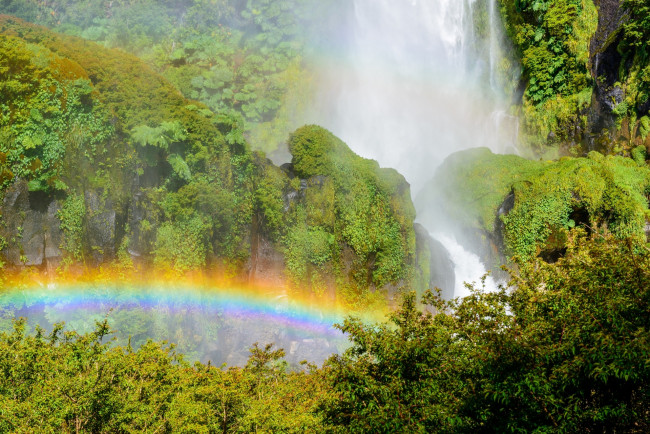 Обои картинки фото природа, радуга, водопад, деревья, вода