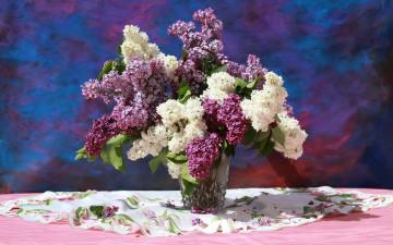 Картинка цветы сирень ваза букет белая лиловая