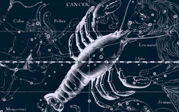 Картинка разное знаки+зодиака рак созвездие