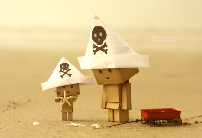 Обои картинки фото разное, данбо, danboard, треуголки, пираты, пляж, черепа