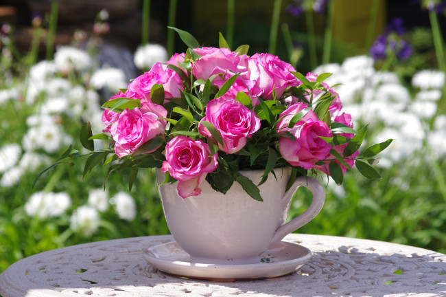 Обои картинки фото цветы, розы, чашка, розовый
