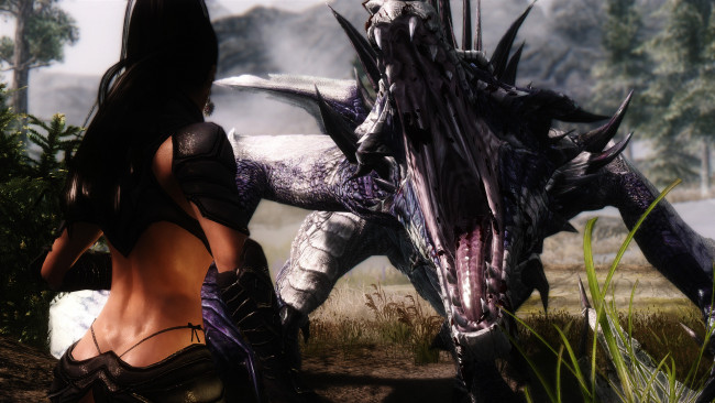 Обои картинки фото видео игры, the elder scrolls v,  skyrim, дракон, оружие, фон, взгляд, девушка