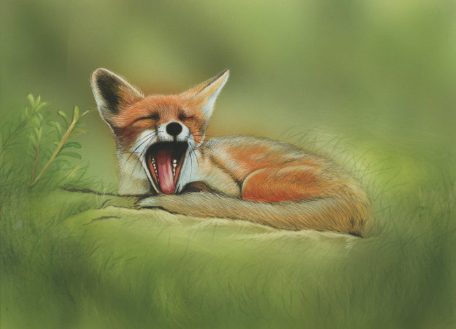 Обои картинки фото рисованное, животные,  лисы, лиса, зевает, природа
