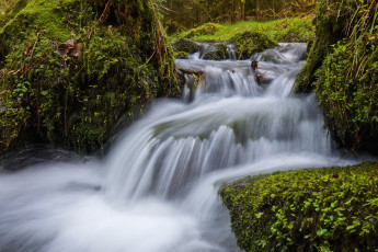 Картинка природа водопады валуны весна красиво лес мох ручей