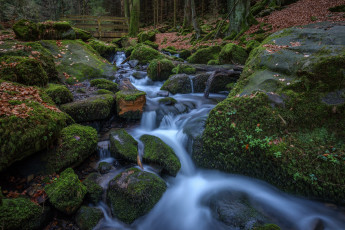Картинка природа водопады валуны весна красиво лес мостик мох ручей