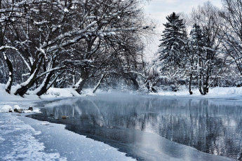 Картинка природа зима снег водоем лед деревья