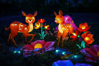 Картинка разное иллюминация бэмби вечер зоопарк китай красиво огни олень фигура