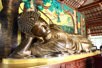 обоя разное, рельефы,  статуи,  музейные экспонаты, храм, путешествие, далат, вьетнам, буддизм, будда