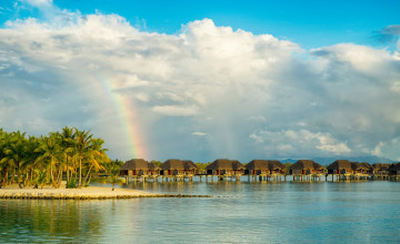 Картинка природа радуга облака водоем пальмы постройки