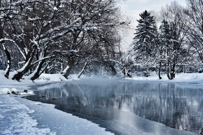 Обои картинки фото природа, зима, снег, водоем, лед, деревья
