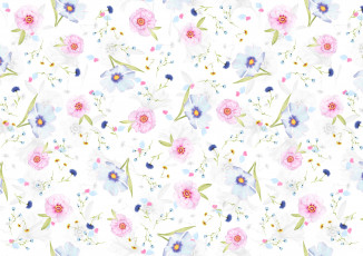 Картинка рисованное цветы маргаритки цветочки лепестки фон