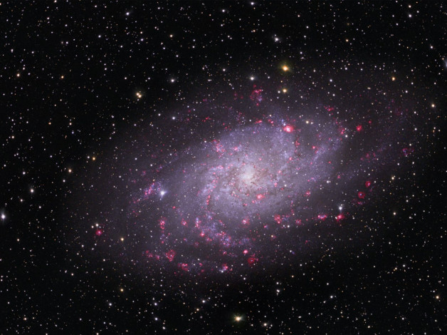 Обои картинки фото галактика, m33, треугольнике, космос, галактики, туманности