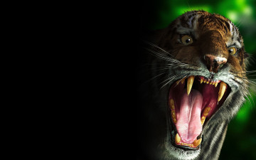 Картинка the tiger by seva verbitsky животные тигры