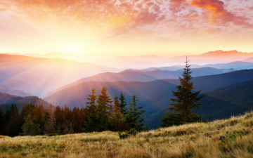 Картинка природа восходы закаты восход горы деревья ели солнце пейзаж