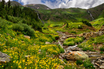 Картинка природа пейзажи горы ручей водопады речка цветы