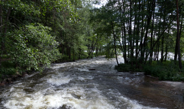 Картинка langinkoski finland кюми природа реки озера лес река
