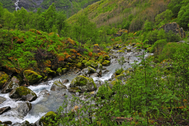 Обои картинки фото норвегия, briksdalsbre, jostedalsbreen, nacional, park, природа, реки, озера, растения, водопад