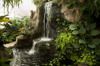 Картинка природа водопады вода листва