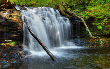 Картинка природа водопады вода бревна скала