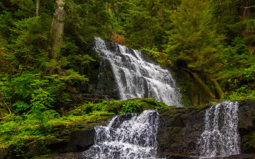 Картинка природа водопады вода лес поток