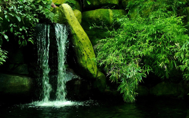 Обои картинки фото природа, водопады, лес, ручей