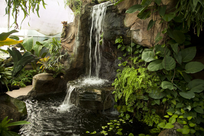 Обои картинки фото природа, водопады, вода, листва