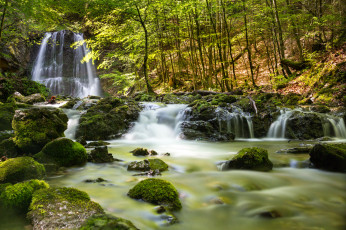 Картинка природа водопады водопад лес река