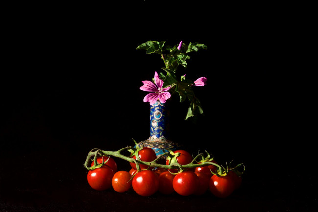 Обои картинки фото еда, натюрморт, снедь, томаты, помидоры