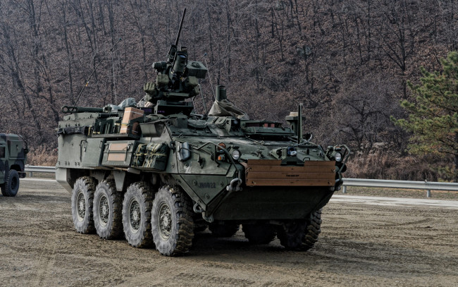 Обои картинки фото техника, военная техника, m1131, stryker, машина, огневой, поддержки, бронемашина, fsv, армия, сша