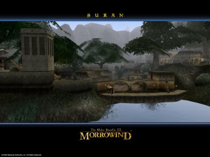 Картинка видео игры morrowind