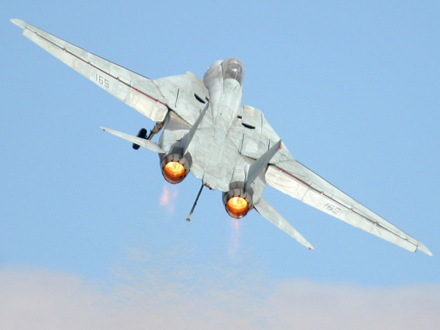 Обои картинки фото f14, white, авиация, боевые, самолёты