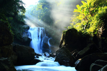 Картинка природа водопады скалы камни река лес