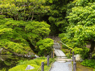 Картинка природа парк пруд деревья сад кусты мостик японский