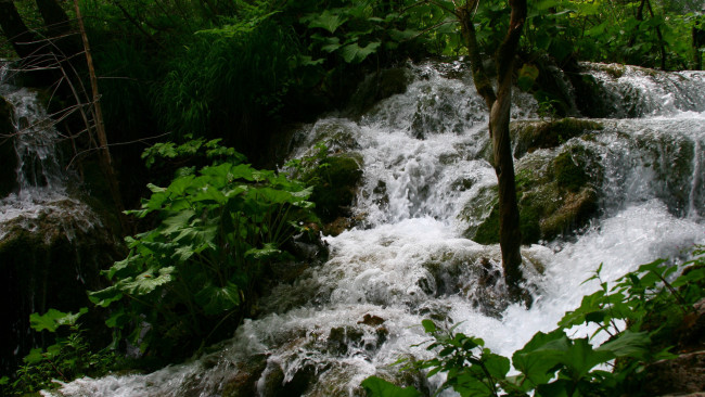 Обои картинки фото природа, водопады, камни, лес, поток