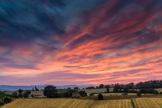 Обои картинки фото природа, поля, tuscan, sunset, italy, закат, поле