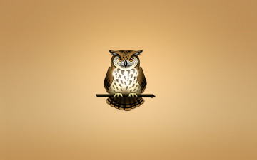 Картинка рисованное минимализм птица сова owl светлый фон ветка