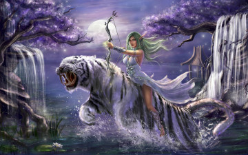 Картинка видео+игры world+of+warcraft лук эльфийка ночь девушка тигр warcraft прыжок водопады деревья tyrande whisperwind