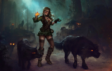 Картинка фэнтези красавицы+и+чудовища арт блондинка маг девушка лес ведьма платье волк ночь