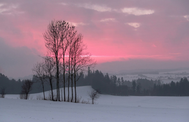 Обои картинки фото природа, зима, зарево, деревья, снег