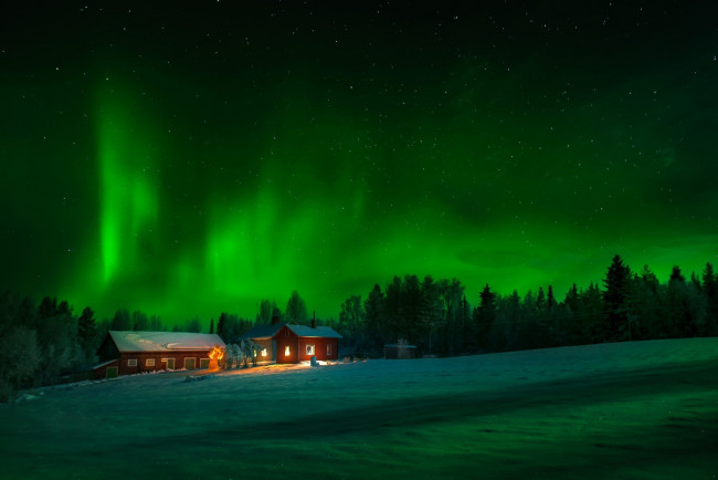 Обои картинки фото природа, северное сияние, ночь, небо, деревья, дома, снег