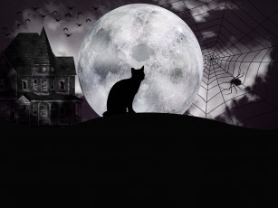 Картинка праздничные хэллоуин паук луна кот