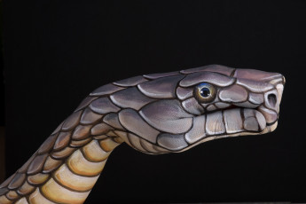 Картинка hand painting by guido daniel разное руки змея