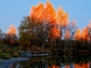 Картинка природа деревья река осень