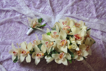 Картинка цветы орхидеи цимбидиум