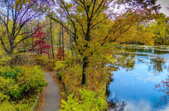 Картинка природа парк пруд дорожка осень листва
