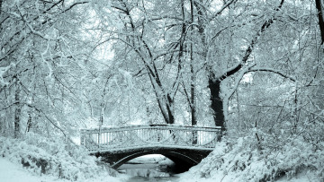 Картинка природа зима парк виадук река деревья снег